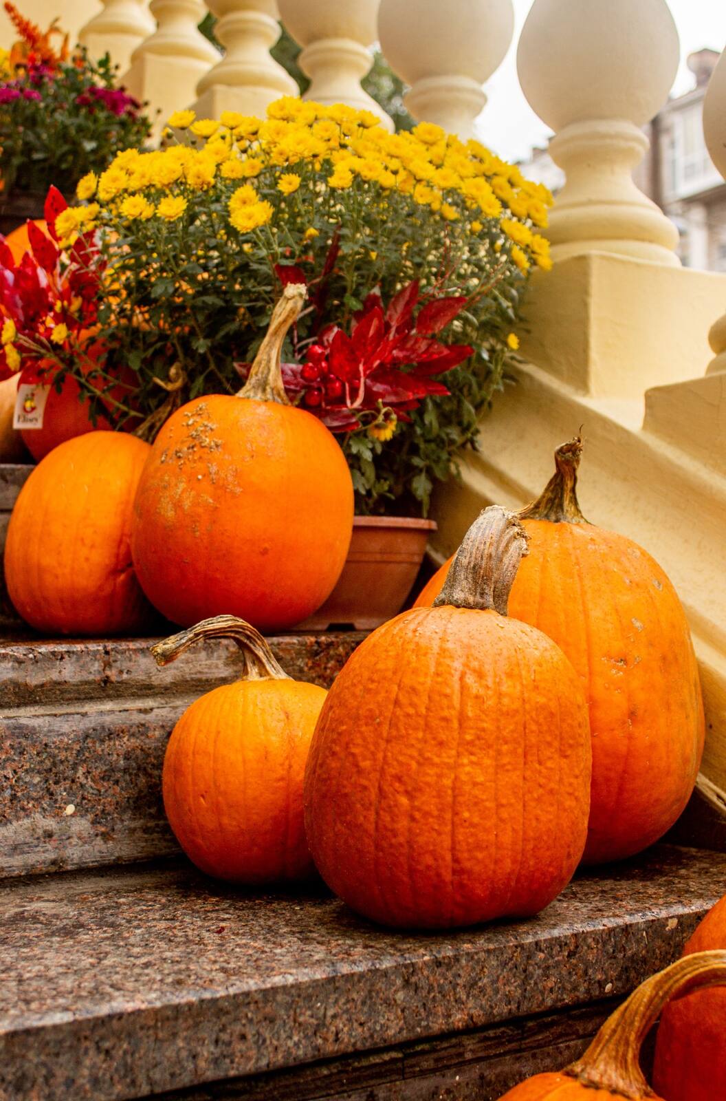 Pumpkins and yellow mums arranged on porch steps