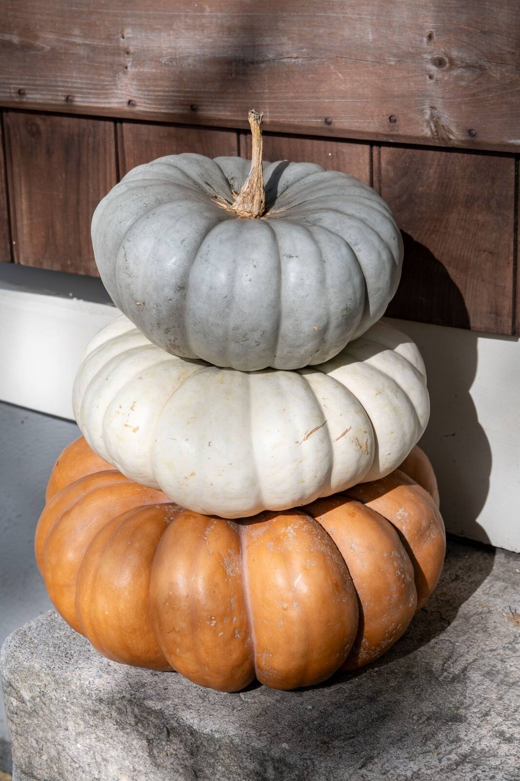 A stack of gray, white and warm tan pumpkins